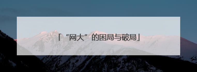 “网大”的困局与破局